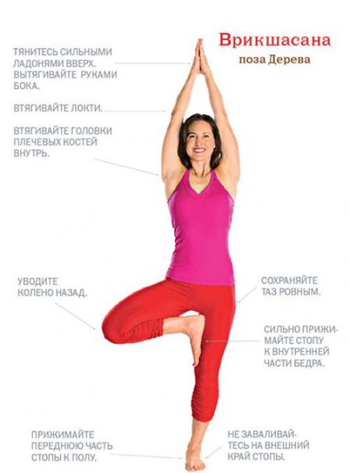 Йога асана стоя. Йога стоя - ваш первый шаг к освоению йоги.