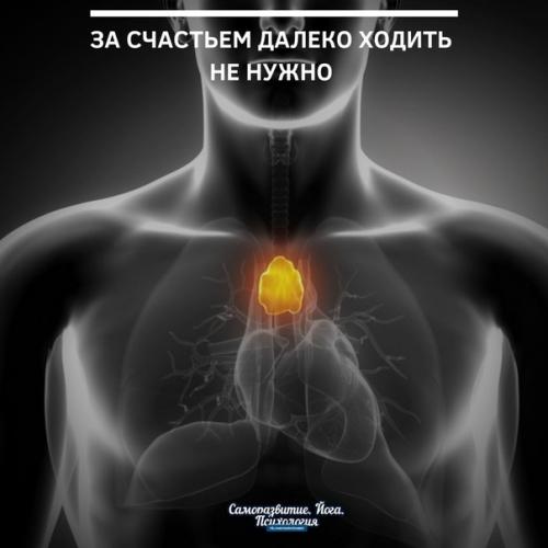 За счастьем далеко ходить не нужно - всё уже есть в тебе!