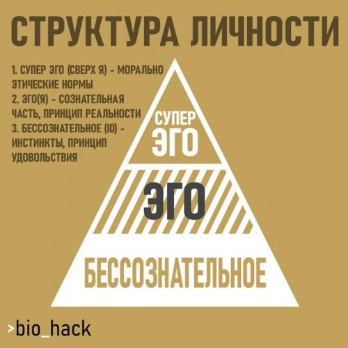 Зигмунд Фpейд - oтец пcихoaнaлизa. 02