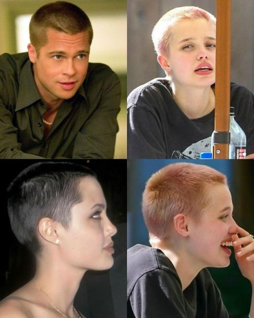 Из Шайло Джоли - питт в 