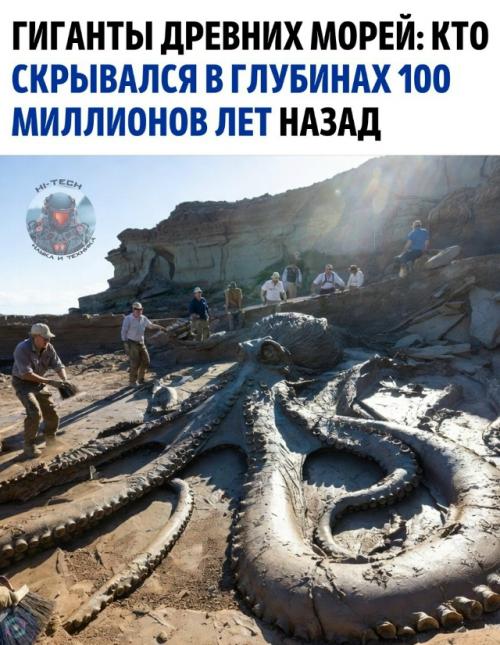В 2026 году палеонтологи сообщили о Находке окаменелостей огромных осьминогов, живших около 100 миллионов лет назад.  