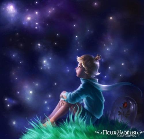 Топ - 26 правил жизни маленького принца: Топ - 26 правил жизни маленького принца: