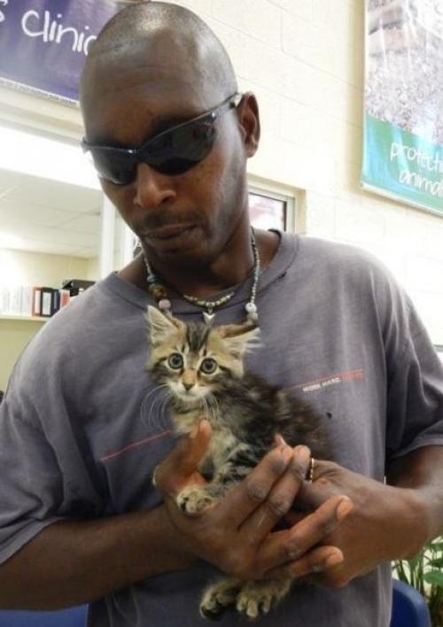 Автолюбитель эрран не пожалел свой новенький пикап ради спасения котенка.