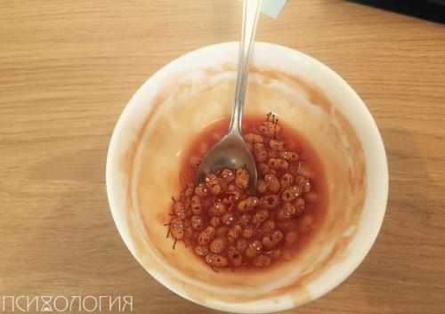 Австралийский художник с помощью Ipad Pro и Apple Pencil делает повседневные снимки фантастическими? 02