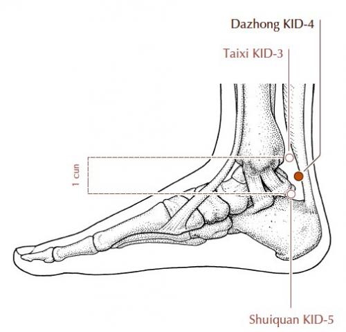 Точки для ЭНЕРГИИ. Важнейшая точка для восполнения энергии во всем организме.
