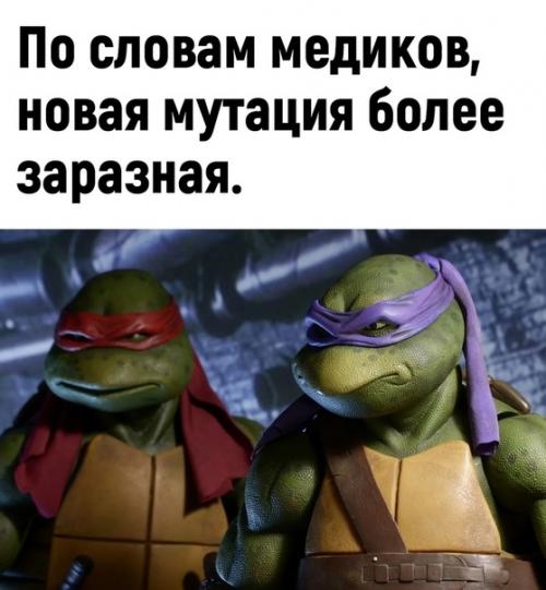 Даже ковид научился уже. 01