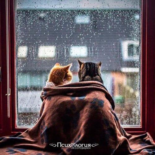 Что же такое счастье?