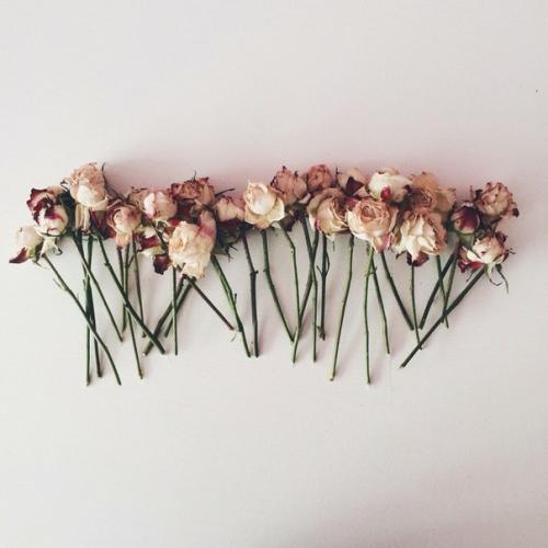 Вы красивые, но пустые Ради вас не хочется умирать. - вы красивые, но пустые, - продолжал маленький принц.