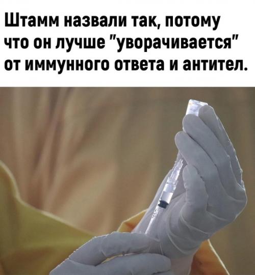 Даже ковид научился уже. 02