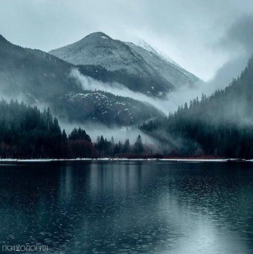 Красота абсолютна -.