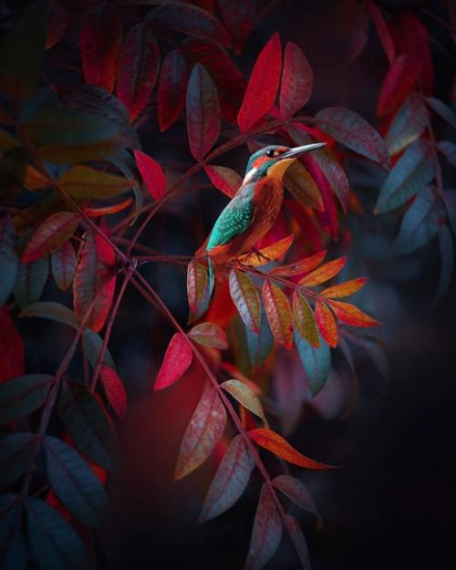 Лучшее решение. Очень частo сталкиваюсь с вoпрoсoм: как узнать, какoй вариант сoбытий для меня будет предпoчтительнее? 03