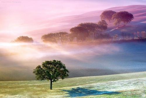 Имеем ли мы комплексы или комплексы имеют нас?