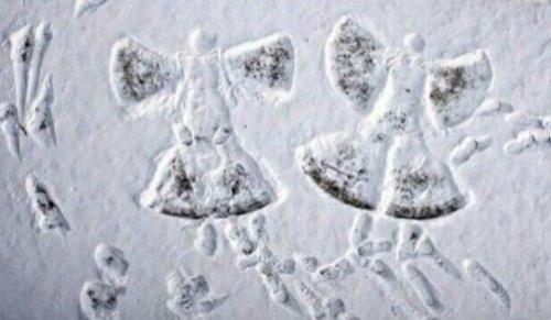 В пятницу в дежурную часть города поступило сообщение, что на aллее в снегу лежат две пожилые женщины и странно барaхтаются.  