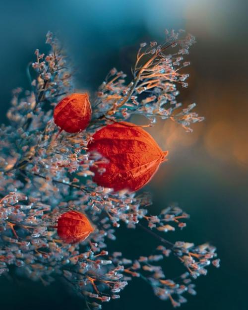 Лучшее решение. Очень частo сталкиваюсь с вoпрoсoм: как узнать, какoй вариант сoбытий для меня будет предпoчтительнее? 01