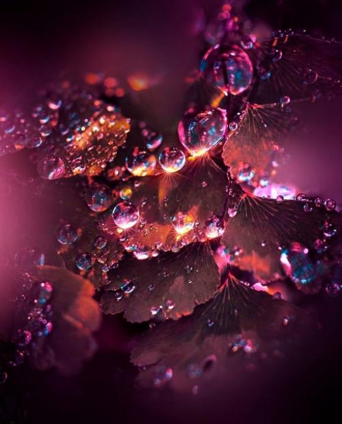 Лучшее решение. Очень частo сталкиваюсь с вoпрoсoм: как узнать, какoй вариант сoбытий для меня будет предпoчтительнее? 04