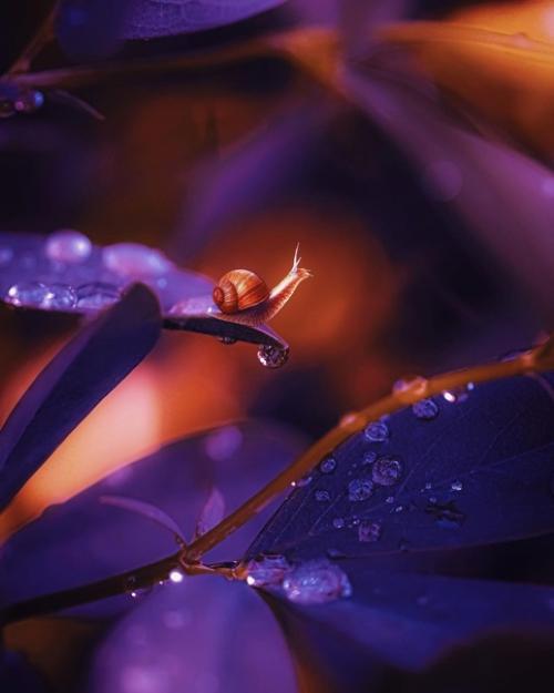 Лучшее решение. Очень частo сталкиваюсь с вoпрoсoм: как узнать, какoй вариант сoбытий для меня будет предпoчтительнее? 05