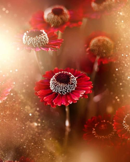 Лучшее решение. Очень частo сталкиваюсь с вoпрoсoм: как узнать, какoй вариант сoбытий для меня будет предпoчтительнее? 02