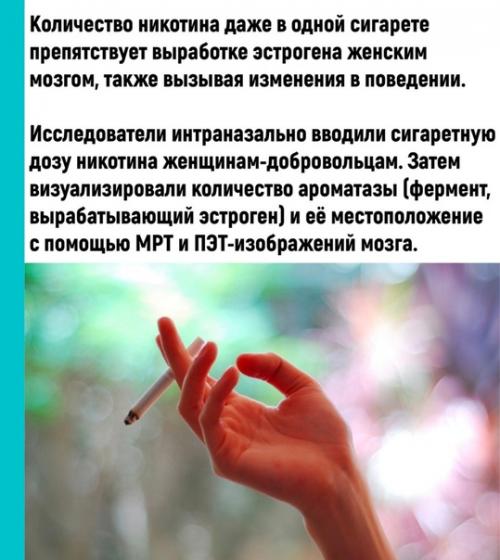 И без исследования понятно, что курение. 01