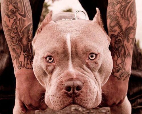 Сосед.
Валера - боксер.  