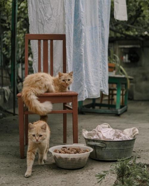 Простая и добрая история одной девушки. 01