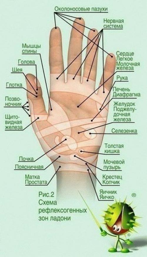 Тайная сила мизинца.

