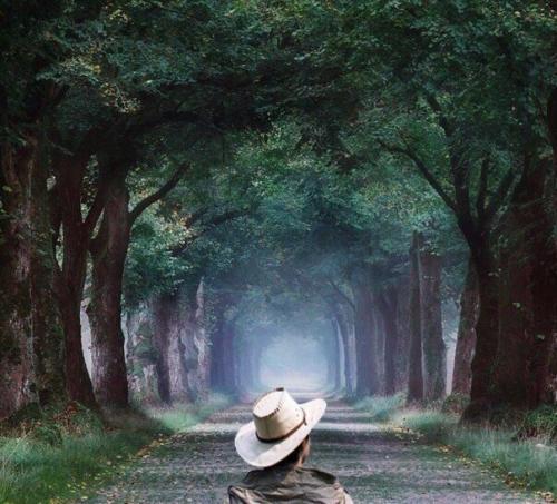 Никогда не слушайте осуждений в свой адрес.