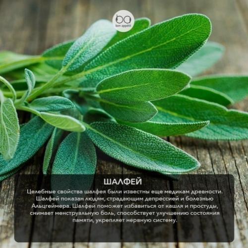 Супер полезная и ароматная зелень. 05