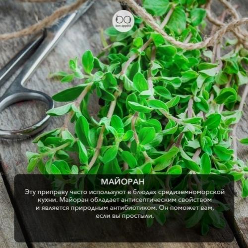 Супер полезная и ароматная зелень. 03