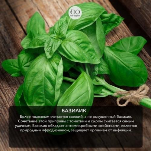 Супер полезная и ароматная зелень. 02