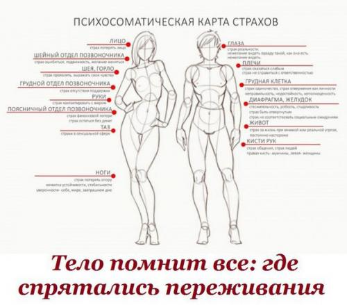 Тело помнит все: где спрятались переживания. Тело помнит все: где спрятались переживания.