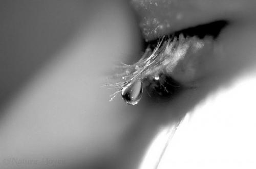 Террор наших слёз.