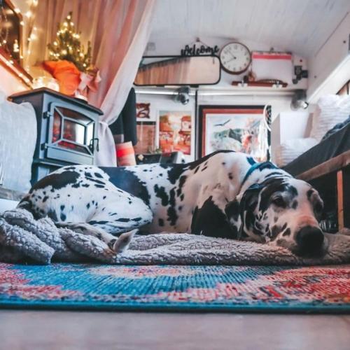 Они осуществили свою мечту: своими руками сделали домик на колесах. 05