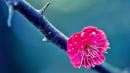 Музыка Angelight с духовного пути автора началась.