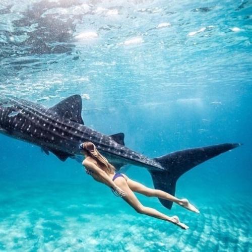 Sjana Elise Earp - богиня йоги из австралии!