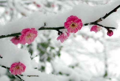 Научитесь ценить настоящее.