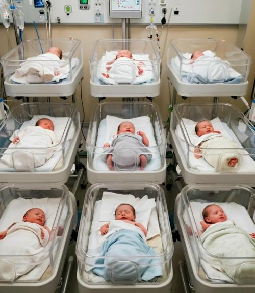 Египетская женщина установила невероятный рекорд, узнав во время планового осмотра о многоплодной беременности. 01