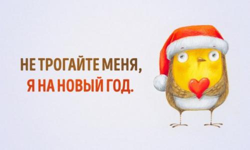 Что делать, если праздники даются вам нелегко. Что делать, если праздники даются вам нелегко.