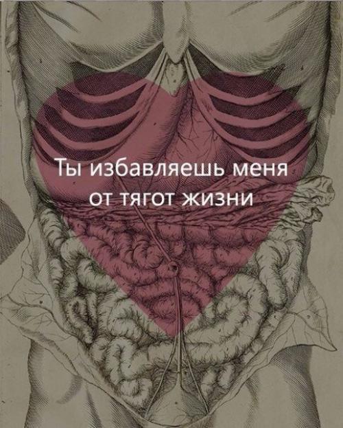 Тело.  Тело является фундаментальной ценностью человека и имеет первостепенную значимость в жизненных процессах. 04