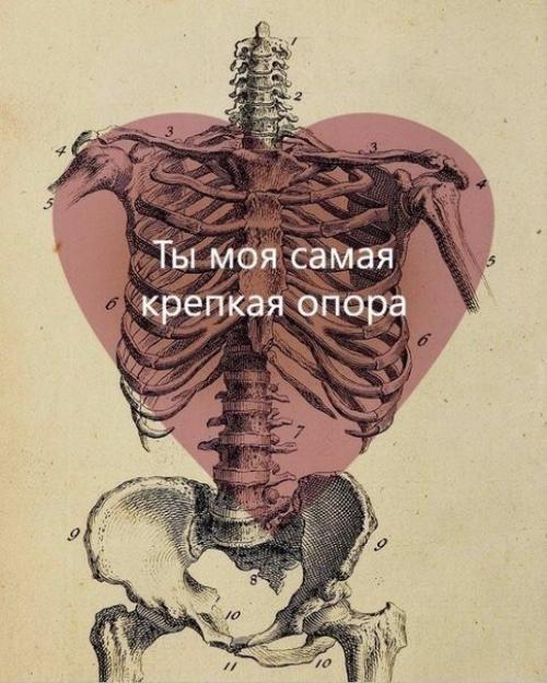 Тело.  Тело является фундаментальной ценностью человека и имеет первостепенную значимость в жизненных процессах. 03