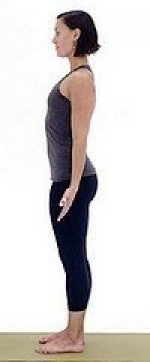 Занятия йогой дома для начинающих. 08 Занятия йогой дома для начинающих. 08