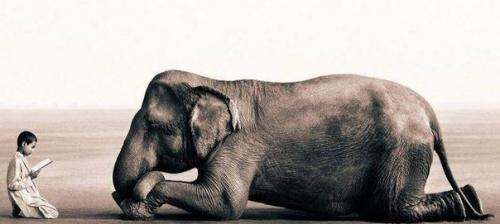 30 принципов мудрой жизни.