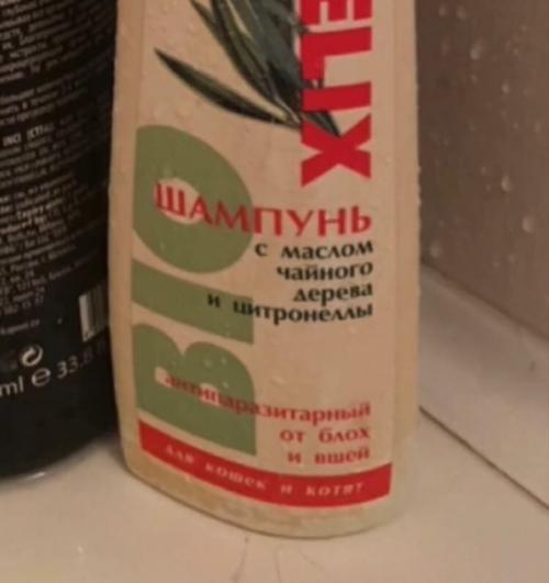 Попросила мужа купить мне шампунь в аптеке. 01