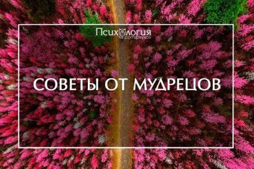 7 мудрых советов.