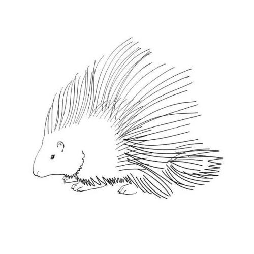 Притча о дикобразах.

