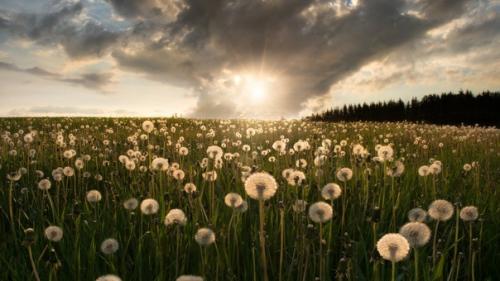 Вот почему, почему в апреле всегда кажется, ещё немножко и всё наконец - то будет хорошо.