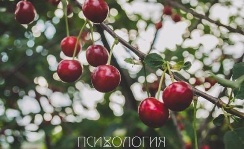 Не ждите от людей тех чувств и поступков, на которые они не способны.  