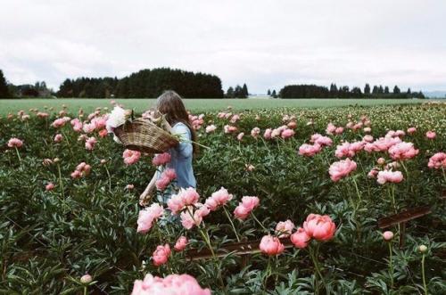 Круговорот доброты.  Однажды мужчина, проезжая по трассе, увидел на обочине пожилую женщину.