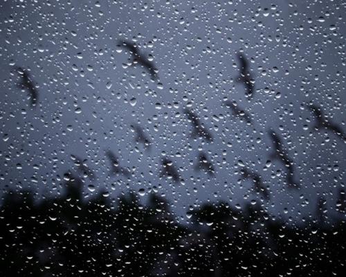 Жили - были женщина, переодетая женщиной, и мужчина, переодетый мужчиной.