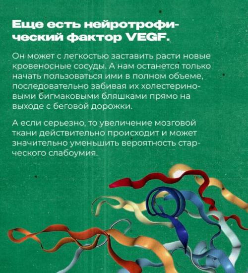 Не устанем повторять, что спорт мегаполезен для поддержания здоровья наших кукушечек. 04