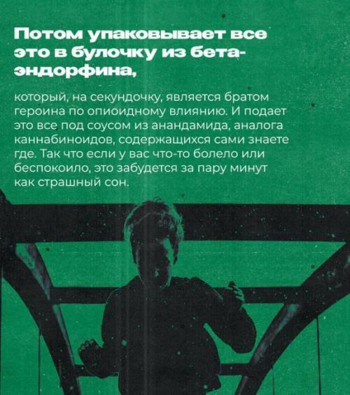 Не устанем повторять, что спорт мегаполезен для поддержания здоровья наших кукушечек. 06